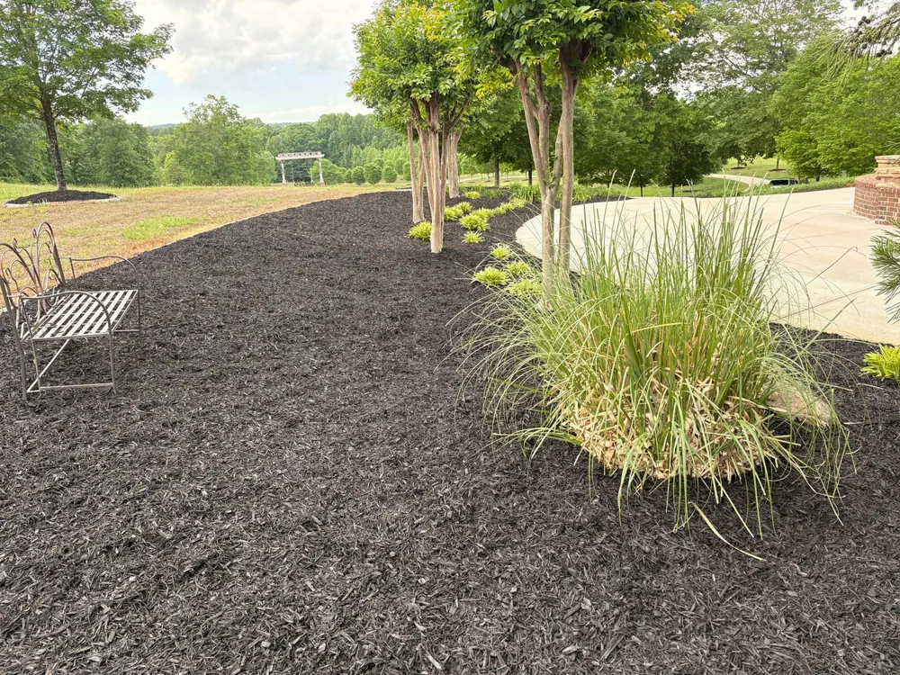 Black mulch beds along a tree line
