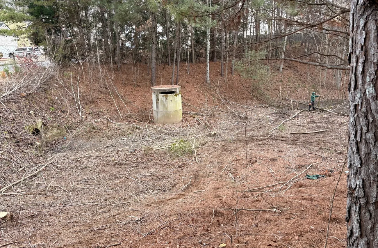 Lot fully cleared of brush and debris