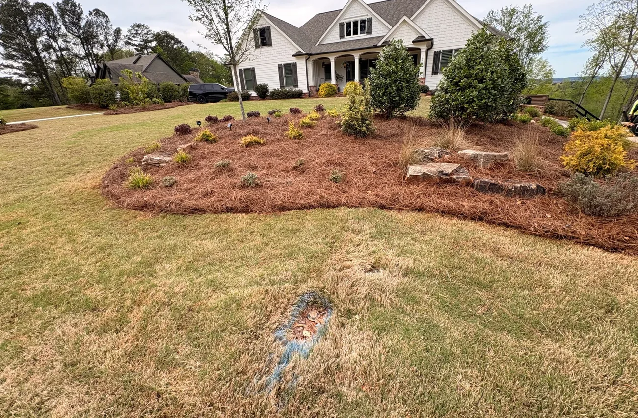 Fresh pine straw beds and boulder accents in front of a Gainesville home